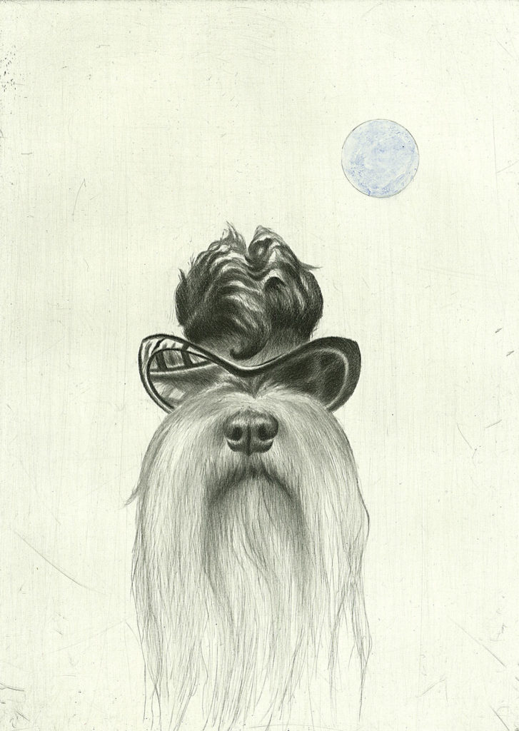 Laggar Jan Tigerstrand